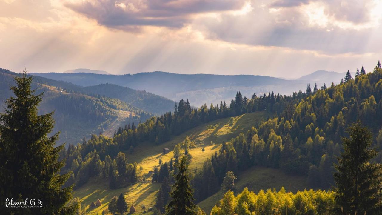 Pensiunea Viorica Фунду Молдовей Экстерьер фото